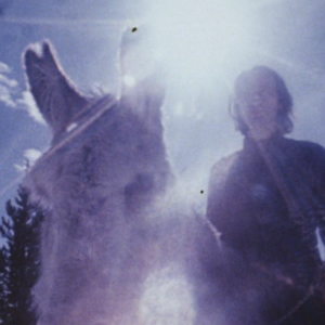 Jonas Mekas astride Stan Brakhage's donkey Roscoe Notes Diaries Sketches Walden