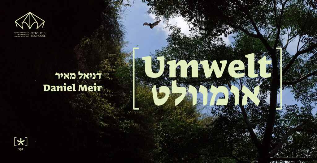 The Tea House – A New Sound  Gallery || Daniel Meir, Umwelt