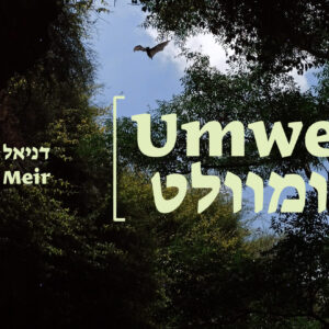 daniel meir header