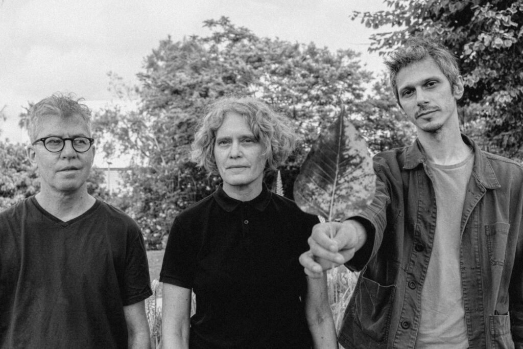 אפור גשום במעמותה