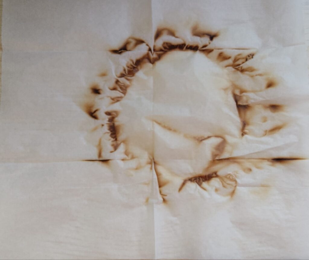 Gallery Tours at the New Exhibitions